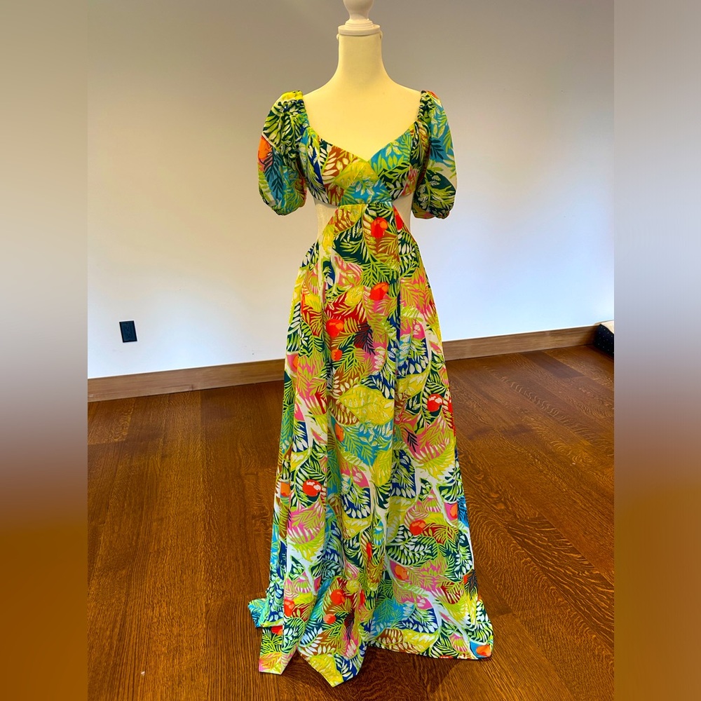 Palm Puff Sleeve Maxi Dress